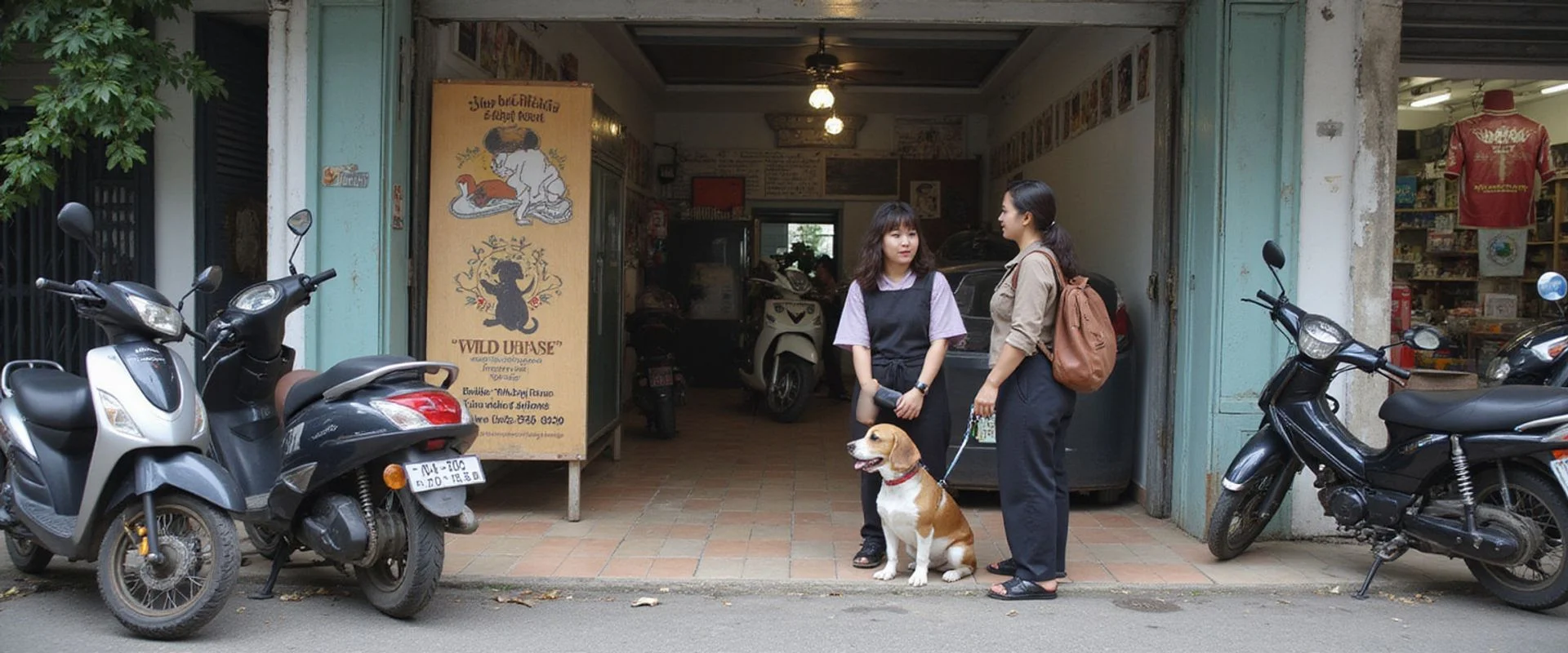 pet boarding service in Damansara Jaya, Petaling Jaya