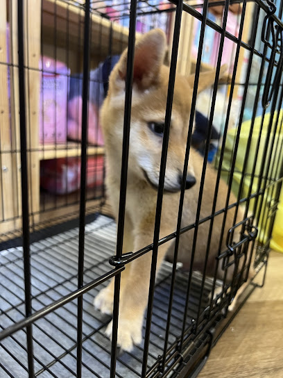 Furgather Destiny Pet House Puchong 宠遇店铺 - Pet Hotel , Grooming , DayCare , Boarding & Retail