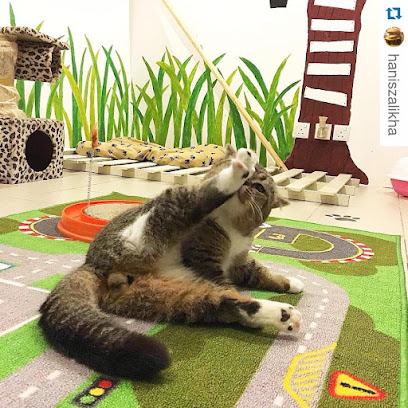 Catsville Pet Shop