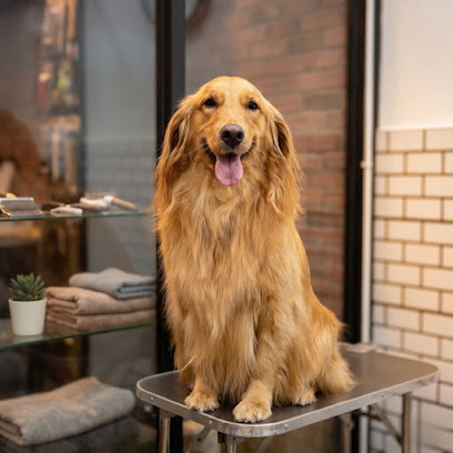 Season Pets House | 季の犬屋 | Season Dogs House