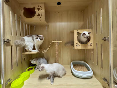 Muzson Cat House