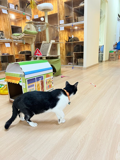 Furry Paws ( Grooming & Boarding til 8pm | Petshop til 10pm )