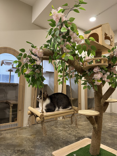 Minikko Cat Hotel