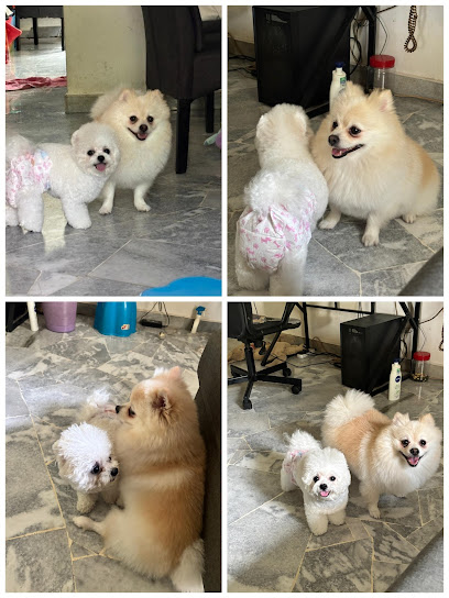 PAWSY LIFE PET HOUSE