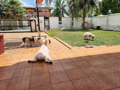 ES FURRY HOME BOARDING