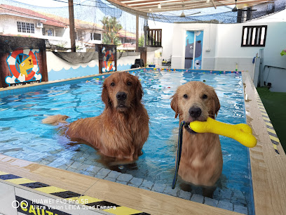 Bark A Bout (Dog Social House)