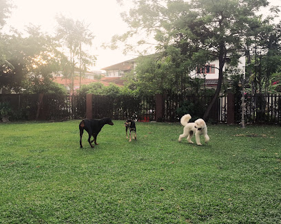 PamperPup Pet Home-Boarding & Day Care