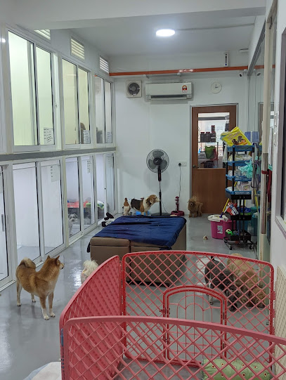 Furball Haven