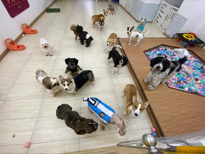 Doggy School Bus Hartamas (Dog Boarding, Daycare & More)
