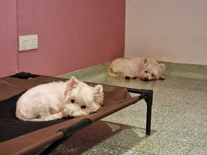 BnB Pets Boarding