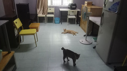 Damansara Damai Cat Boarding