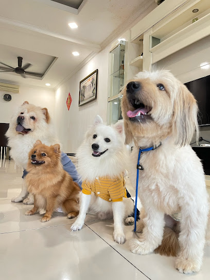 The Happy Tails