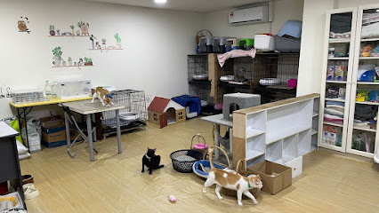 Metta Cat Hotel