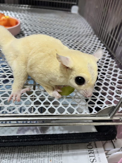 Furhousemy (Sugar Glider Expert Care)