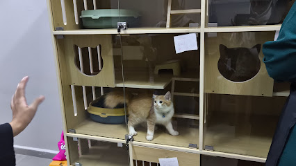 MEOW ZONE HOTEL & GROOMING