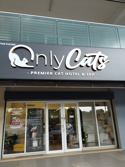 OnlyCats Premier Cat Hotel & Spa