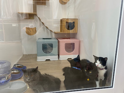 Calico Cat Cottage