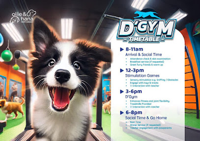 Ollie & Hana Puppy Nursery (Jaya One)