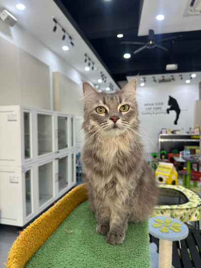 Meowever Cat Centre