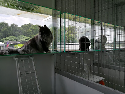 G-Pet Boarding & Training Centre