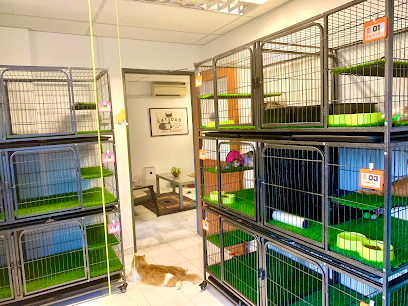 CATmatic Hotel & Spa