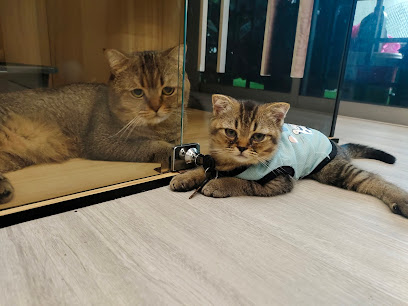 CAT VALLEY SS 2 PJ