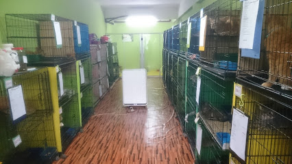 Zul & Azizi Boarding Pets