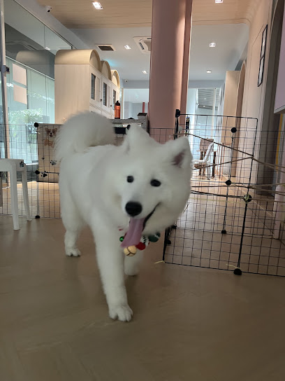 D’fluffies Cat & Dog Hotel and Spa