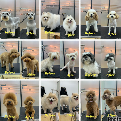 Clumsy Paw Puchong • Pet Grooming & Boarding