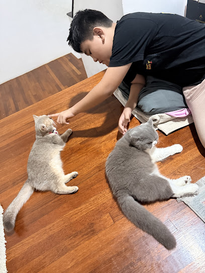 90 Meow Hotel & Spa Alam Damai