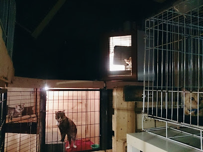 Catspitality Cat House Boarding