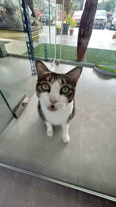 Pets PA
