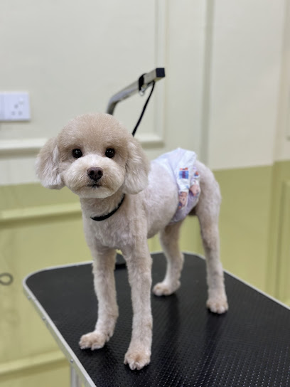 Scissor Pet Grooming @ PJ Old Town