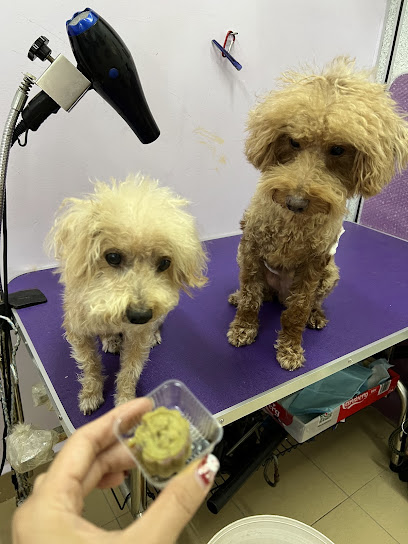 Furkids Grooming Studio