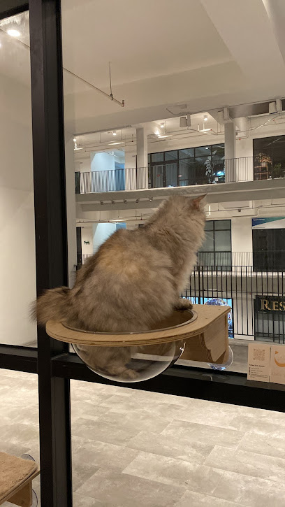 MochiVille Cat Boarding