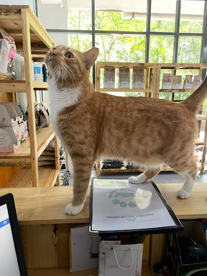 Purrfect Cat Lodging