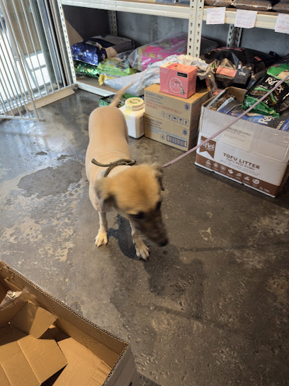 FURRY PAWS SUBANG (Pet shop , Grooming & Boarding)