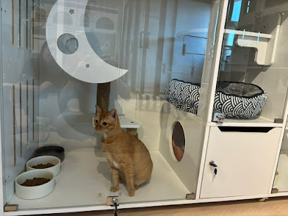 MEOW’S INN Cat Hotel & Grooming