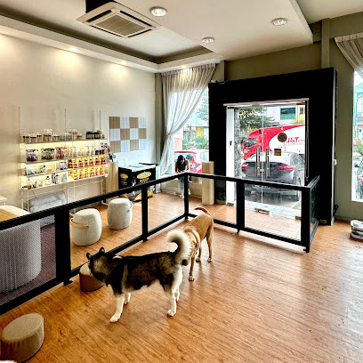 Paws Day Pet House