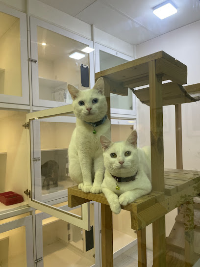 Syukri Cat Hotel and Grooming