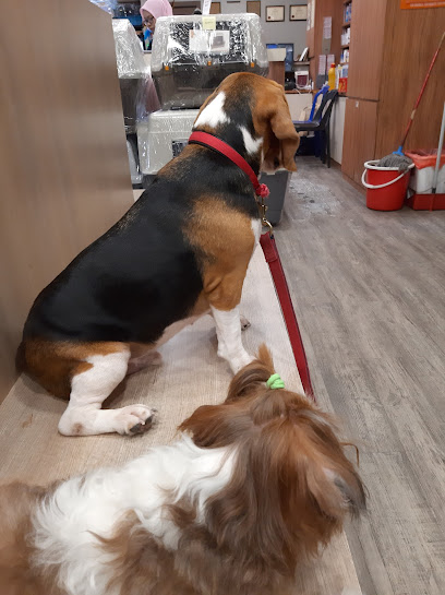 Pet Lovers Centre - SS2 Central