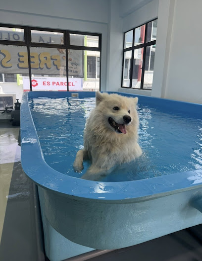 La Molly Puppy Nursery