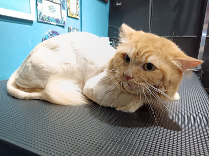 Pawsibilities Cat Hotel & Grooming