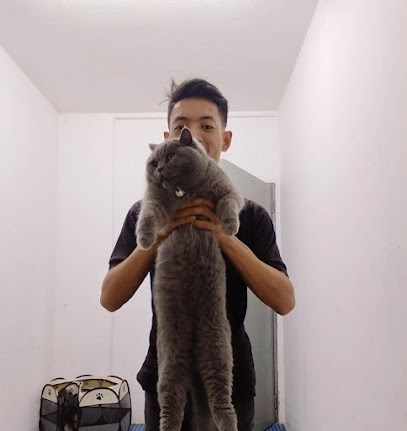 De'Oyen The Kidz Catz PET BOARDING & PET GROOMING