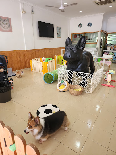 Mr Coco Pet Hotel & Spa