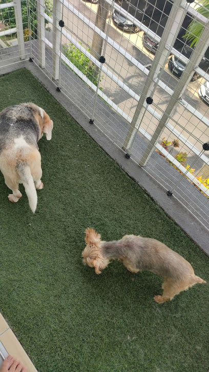 Furry Babies Homestay