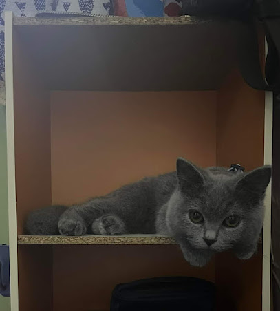 Wanda Cat Boarding