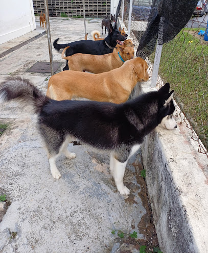 Floof Pet Boarding
