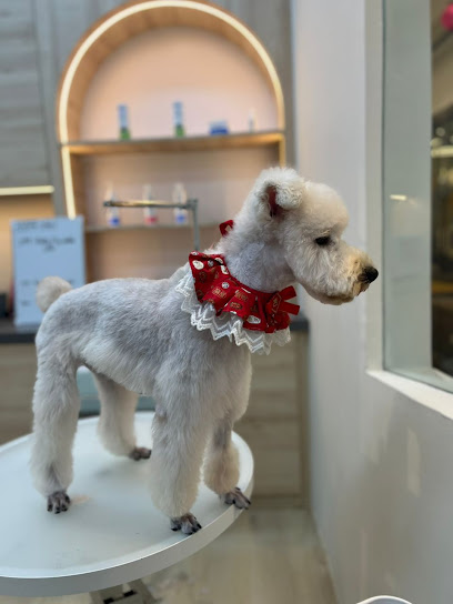 Pups & Play - Damansara Jaya, PJ