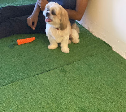 Paradise Pet Hotel